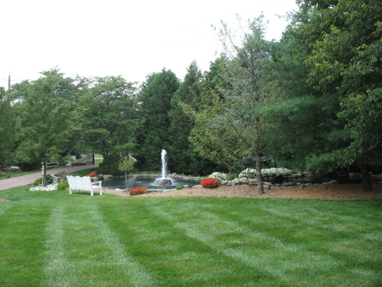 36,000 gal Koi pond view toward the entrance