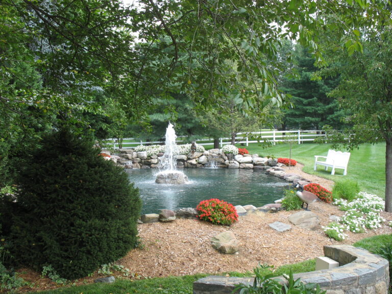 36,000 gal Koi pond view as you drive in