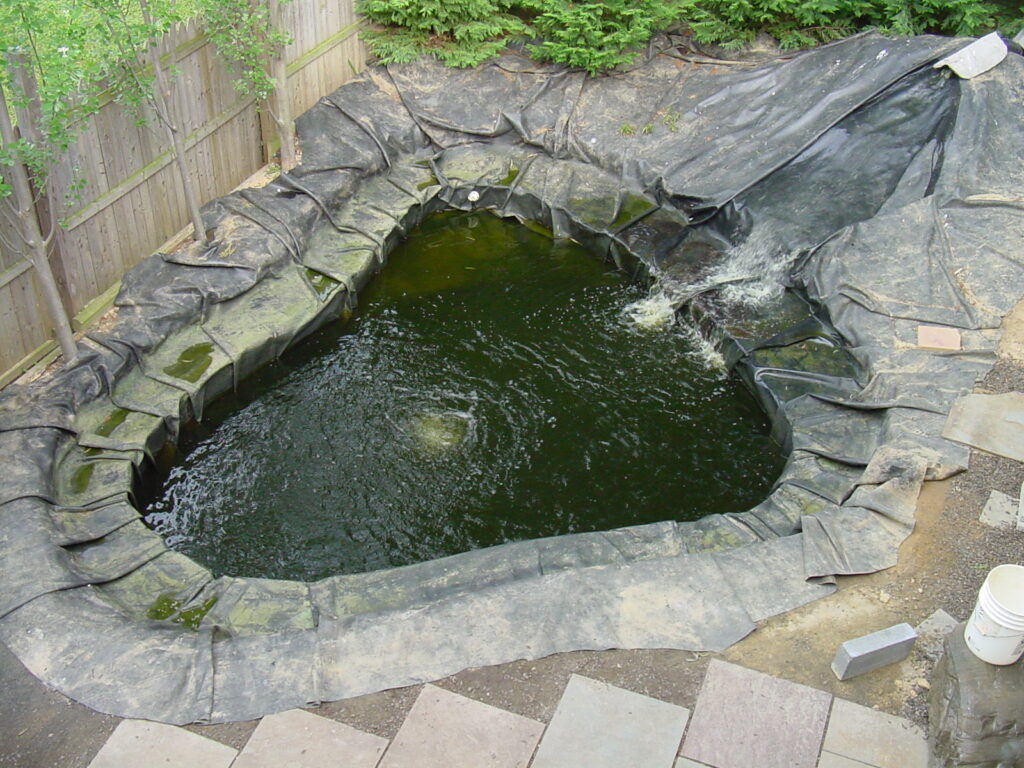 Liner in pond 911 looking down view