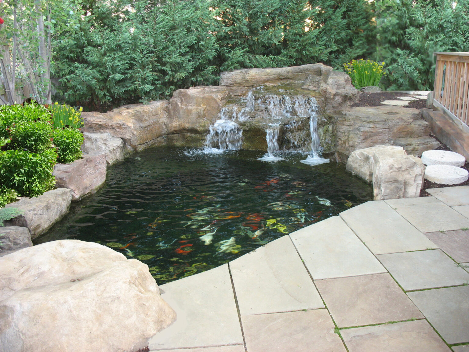 Koi pond small private courtyard 2