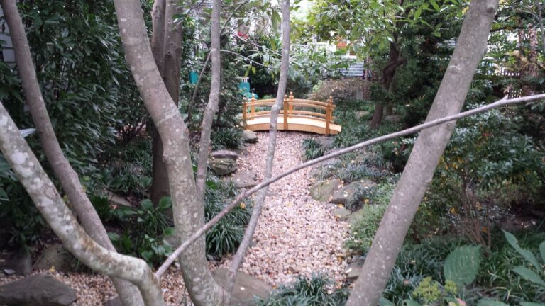 small pond WF bridge 5