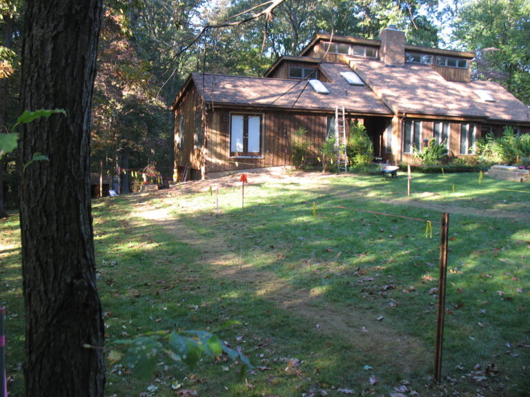 Greenhouse pond3