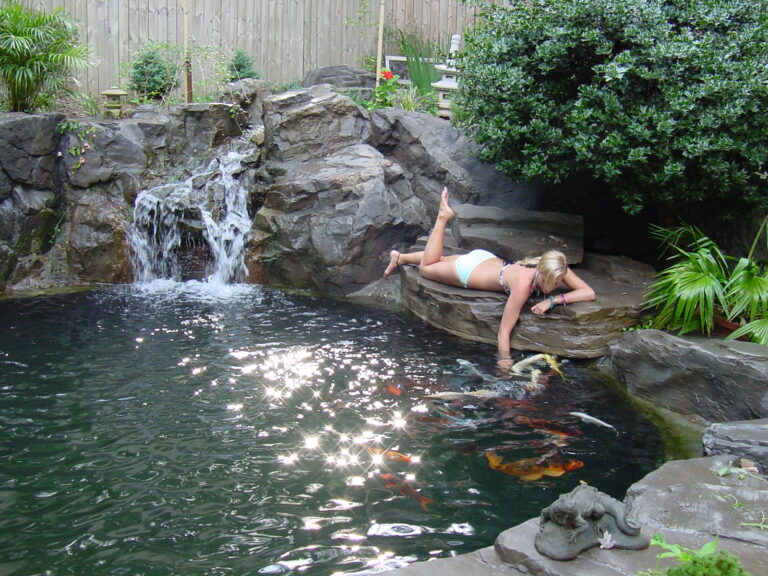Aquatic Artisans Inc. is a pond, water feature, design / build and maintenance company with over 33 years in business, using solid pond construction practices.