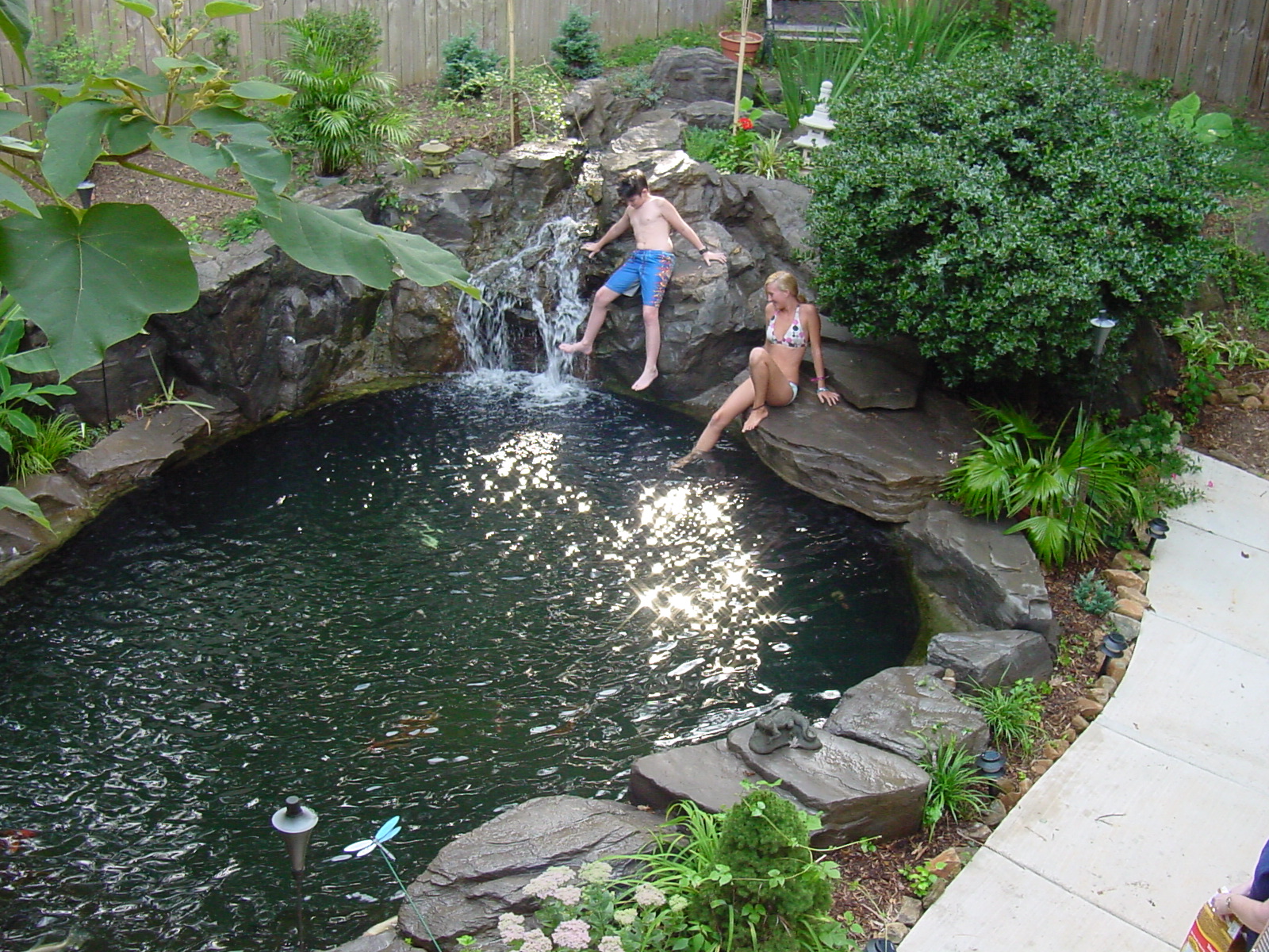 Cast rock formation surrounding a pond, kids swimming with the koi fish