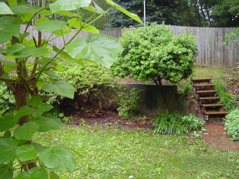 SWIM koi pond with upper Lily pond 1