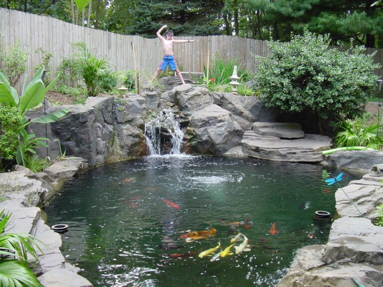 SWIM koi pond with upper Lily pond