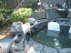 SWIM koi pond with upper Lily pond17