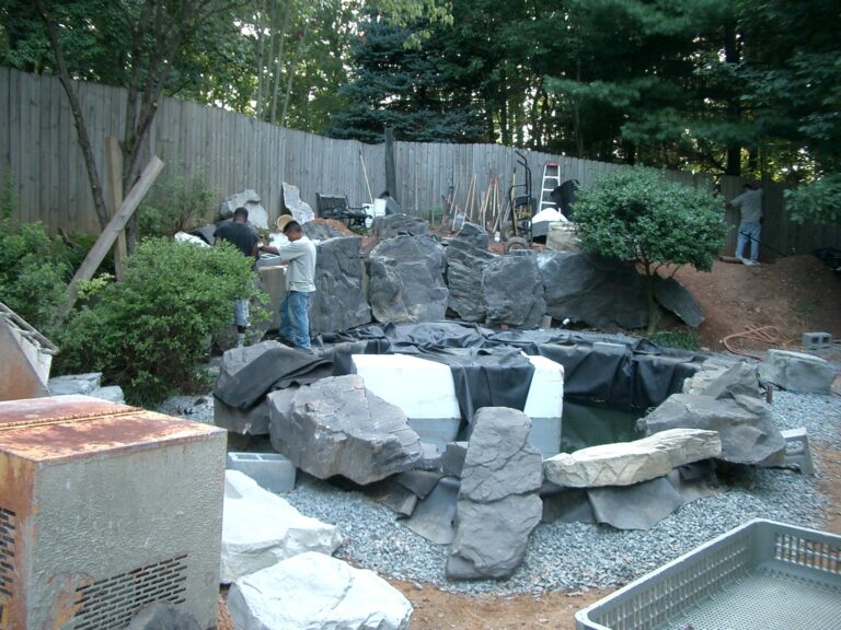 SWIM koi pond with upper Lily pond18a