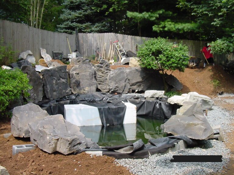 SWIM koi pond with upper Lily pond19