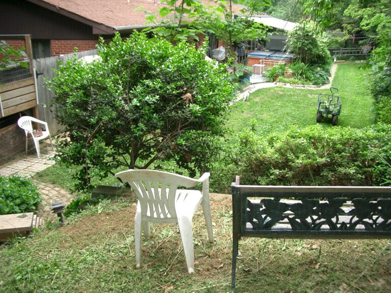 SWIM koi pond with upper Lily pond3