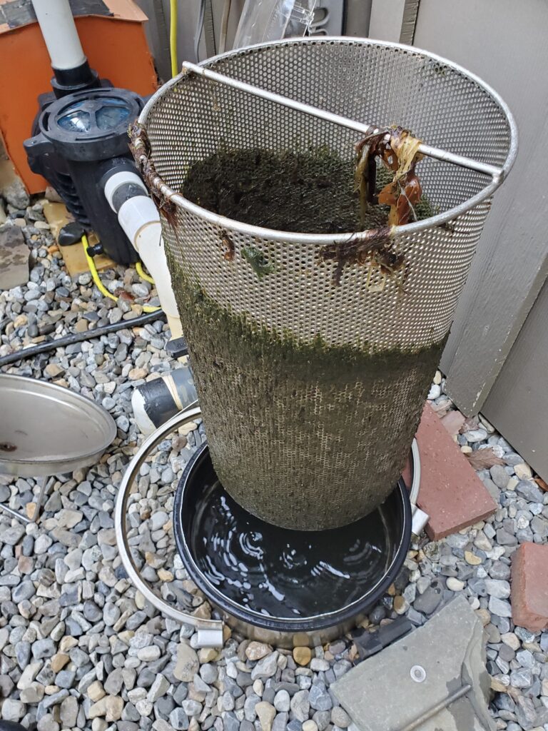 custom-made leaf basket