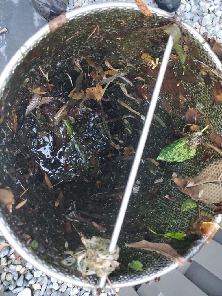 Example of debris removed in August