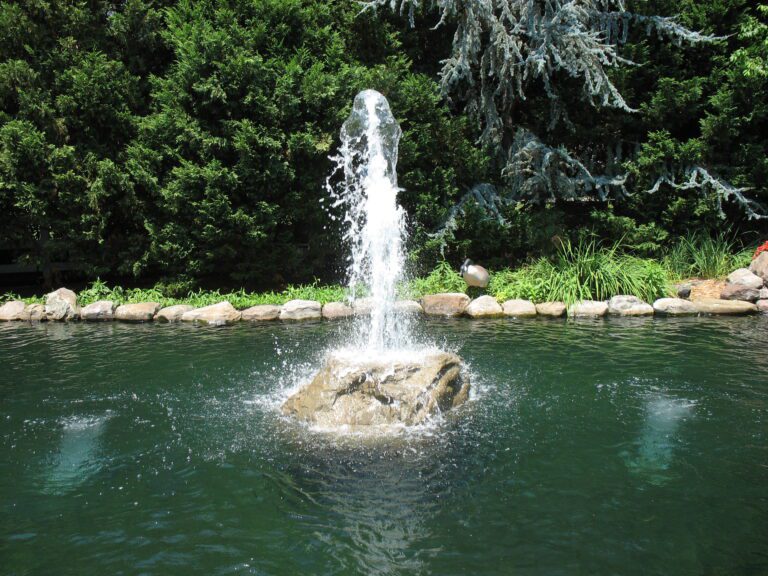 Water fountain shoots upward from a rock in a small pond, with a stone border and green shrubs in the background